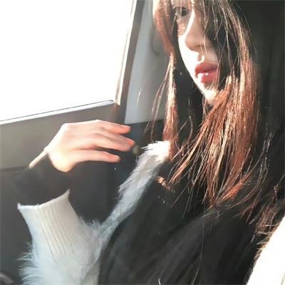 小老鼠历险记